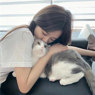 海豚之日